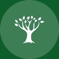 500-trees-removed 500 trees removed