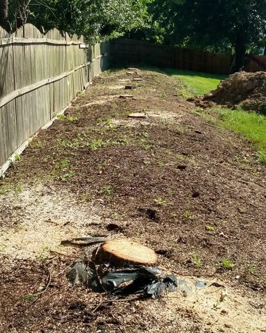 Tree Service in Bucks & Montgomery County PA | Trust Planet 62 Land Clearing Project 6