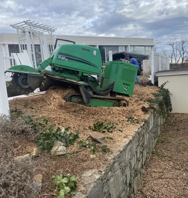 Tree Service in Bucks & Montgomery County PA | Trust Planet 71 Stump Grinding Project 3
