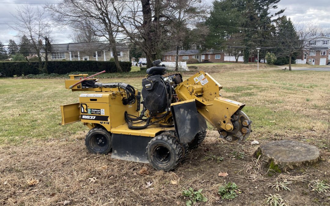 Tree Service in Bucks & Montgomery County PA | Trust Planet 72 Stump Grinding Project 4