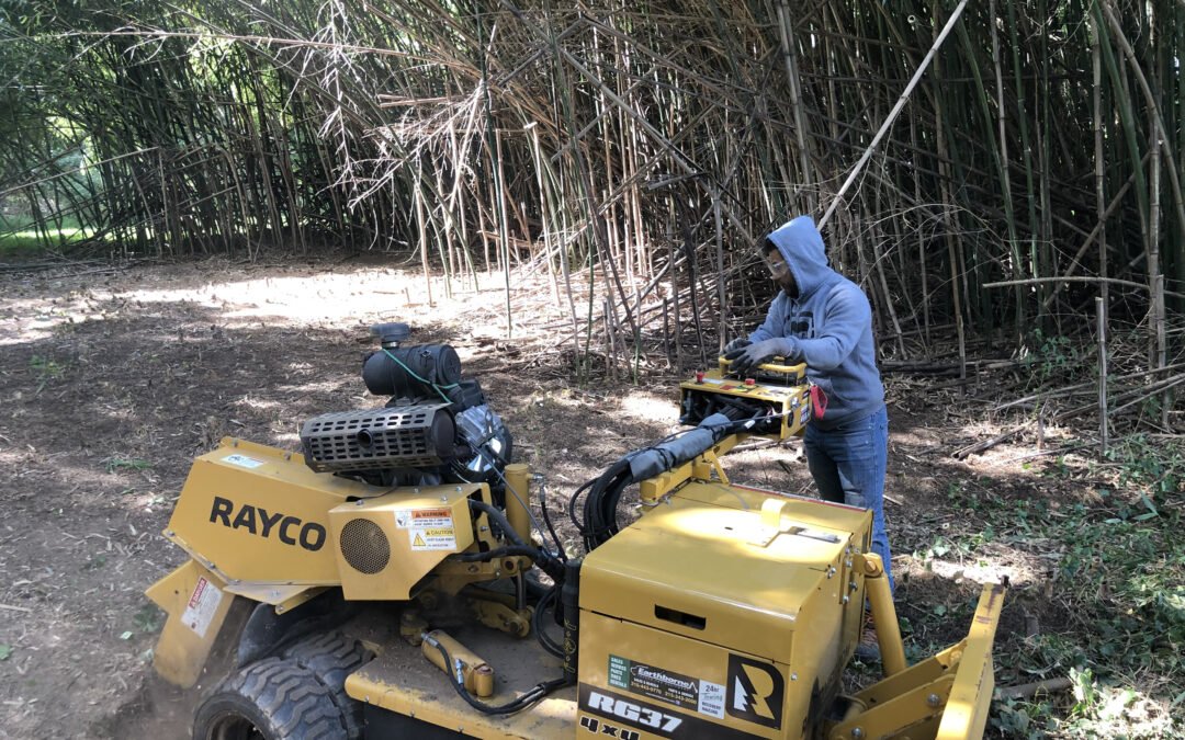 Tree Service in Bucks & Montgomery County PA | Trust Planet 74 Stump Grinding Project 6